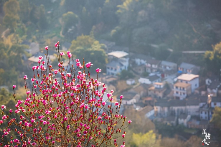 安徽歙县有一座山上的村落免门票风景美是春天赏花的绝佳地