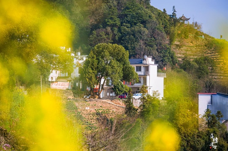 安徽歙县有一座山上的村落免门票风景美是春天赏花的绝佳地